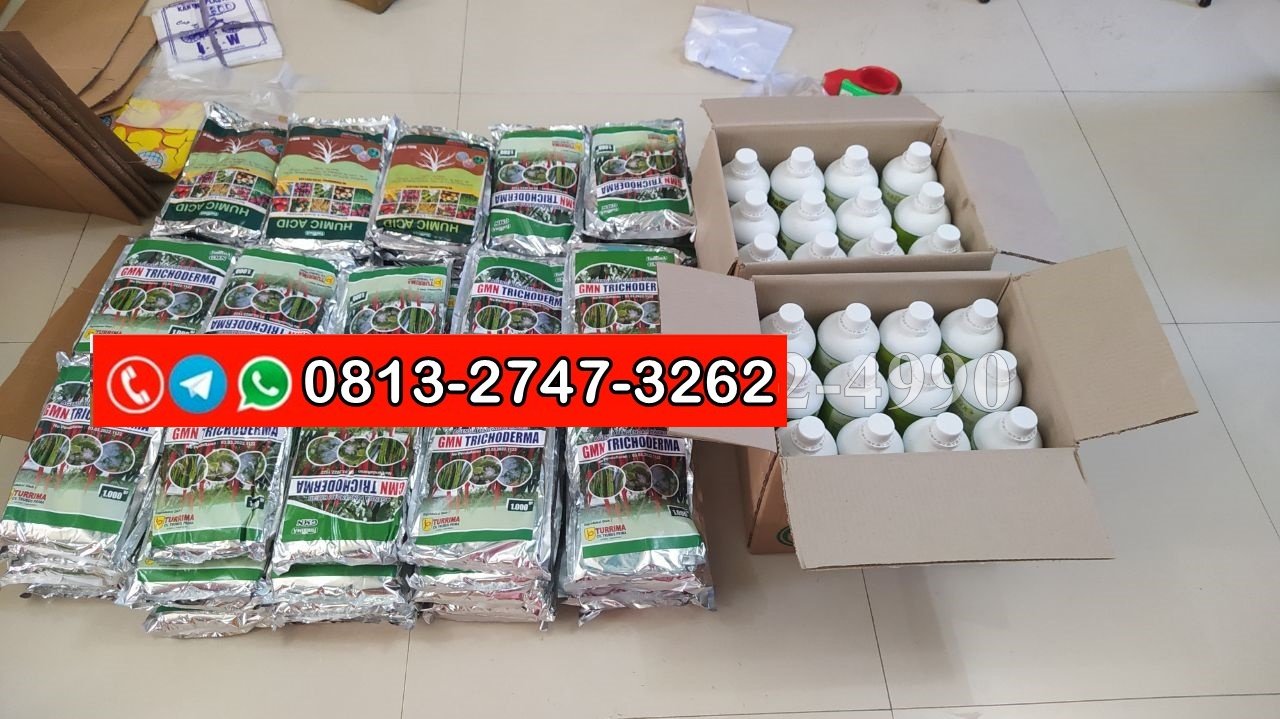 SEDANG PROMO!!! TELP! 0813-2747-3262, DISTRIBUTOR Trichoderma fungisida Banjarnegara, PRODUSEN Trichoderma fusarium Grobogan, TOKO Trichoderma GMN Blora