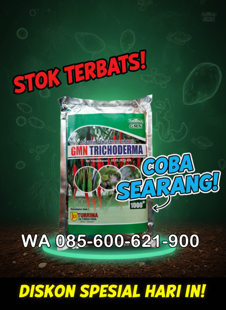 ORGANIK.085-600-621-900, Agen trichoderma untuk anggur Jambi, Jual trichoderma untuk layu fusarium Muaro Jambi, Harga trichoderma untuk cabe Batanghari,