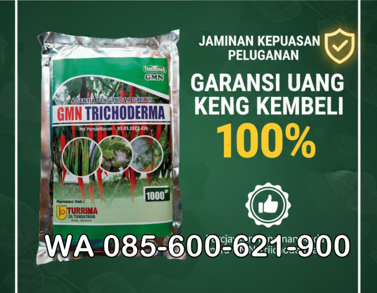 PROMO.085-600-621-900, Agen trichoderma untuk padi Tanjung Jabung Timur, Pabrik trichoderma untuk sawit Sarolangun