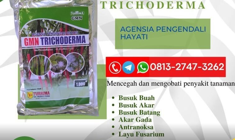 ORGANIK!!! TELP! 0813-2747-3262, DISTRIBUTOR Pupuk trico Jembrana, PRODUSEN Pupuk GMN Trichoderma Bangli, TOKO Pupuk hayati Trichoderma Klungkung