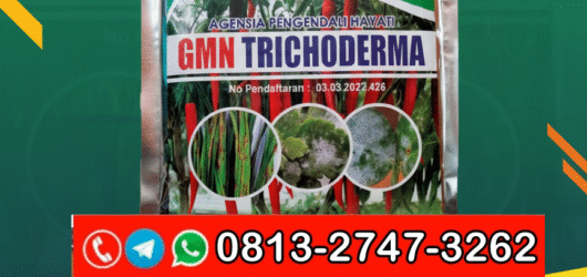 TERBAIK!!! TELP! 0813-2747-3262, DISTRIBUTOR Trichoderma 1 kg Pacitan, PRODUSEN Pupuk Trichoderma Kota Surabaya, TOKO Pupuk Trichoderma sp Malang