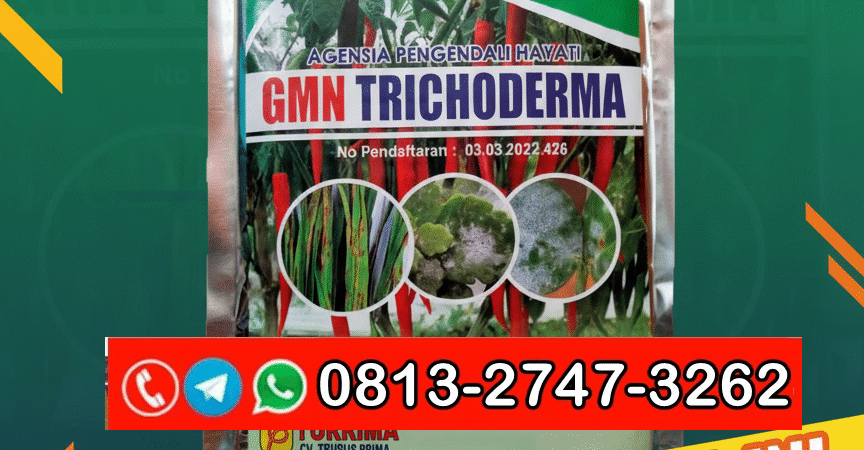 TERBAIK!!! TELP! 0813-2747-3262, DISTRIBUTOR Trichoderma 1 kg Pacitan, PRODUSEN Pupuk Trichoderma Kota Surabaya, TOKO Pupuk Trichoderma sp Malang
