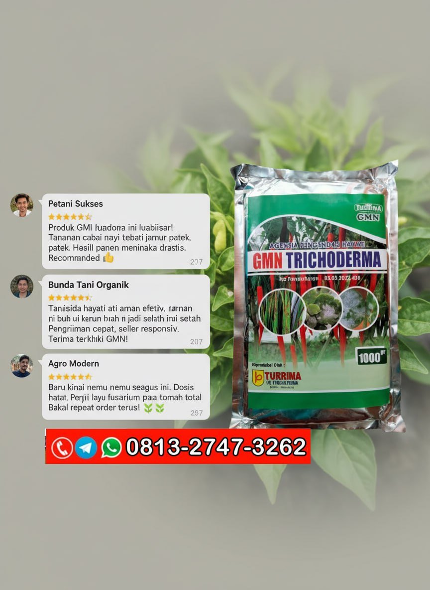 TERPERCAYA!!! TELP! 0813-2747-3262, DISTRIBUTOR Pupuk GMN Trichoderma Kebumen, PRODUSEN Pupuk hayati Trichoderma Cilacap, TOKO Pupuk organik Trichoderma Banyumas