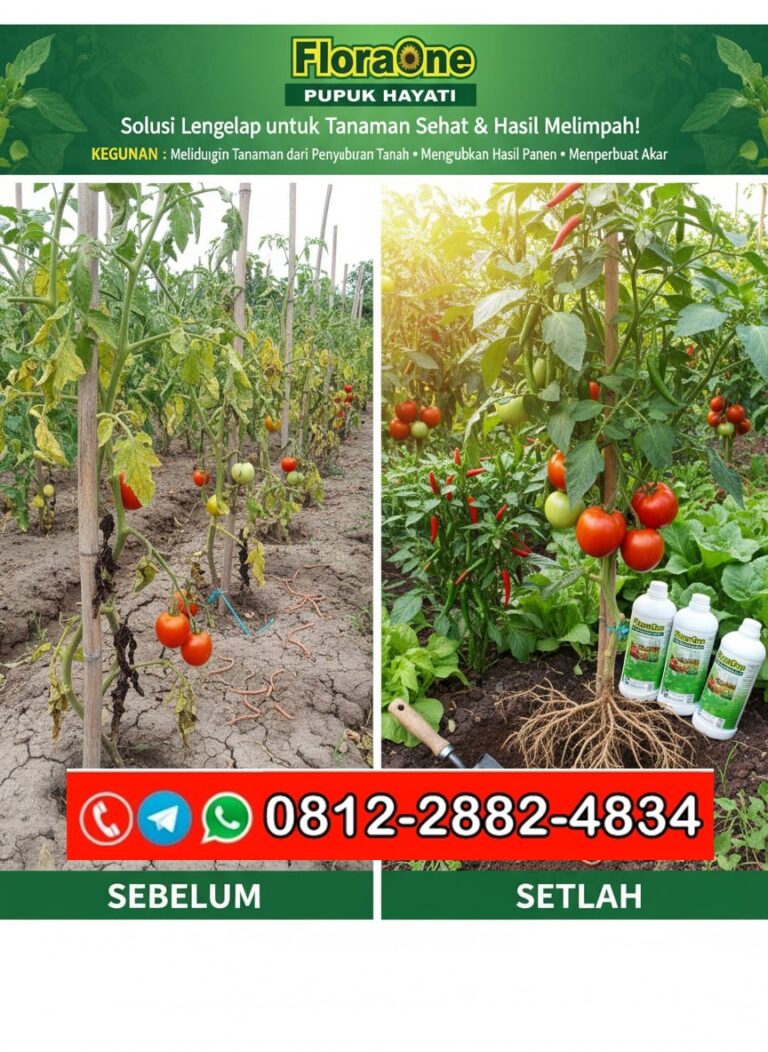 SEDANG PROMO!!! TELP! 0812-2882-4834, DISTRIBUTOR Pupuk hayati bawang merah Bulukumba, PRODUSEN Pupuk hayati cair terbaik Jeneponto, TOKO Pupuk hayati cair untuk padi Pinrang