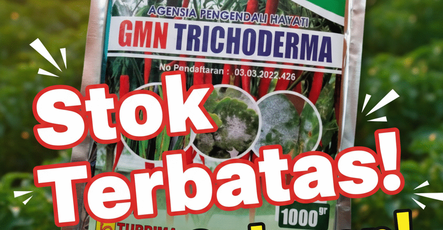 PROMO085-600-621-900, Harga trichoderma untuk cabe Batanghari, Distributor trichoderma untuk bawang merah Tanjung Jabung Barat
