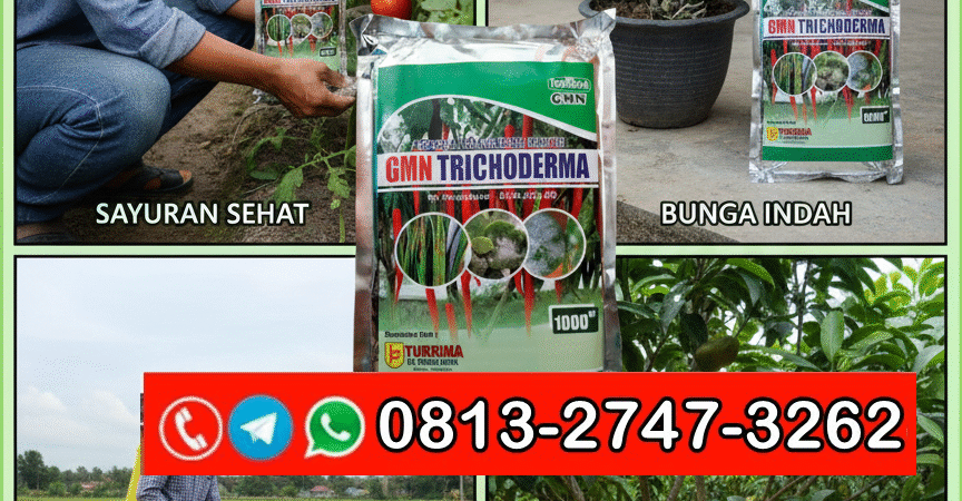 TERBUKTI!!! TELP! 0813-2747-3262, AGEN GMN Trichoderma Badung, DISTRIBUTOR Pupuk trikoderma Gianyar, PRODUSEN Trichoderma alami Tabanan