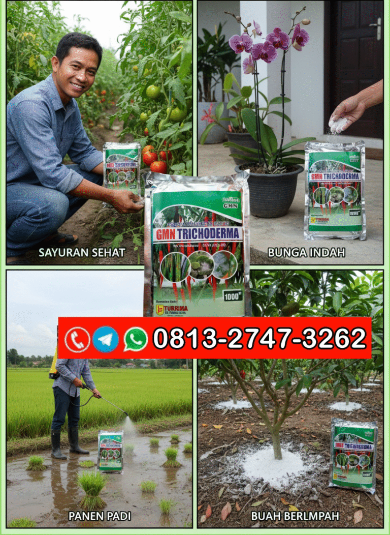 PROMO AMBYAR!!! TELP! 0813-2747-3262, JUAL GMN Trichoderma Karangasem, AGEN GMN Trichoderma Badung, DISTRIBUTOR Pupuk trikoderma Gianyar