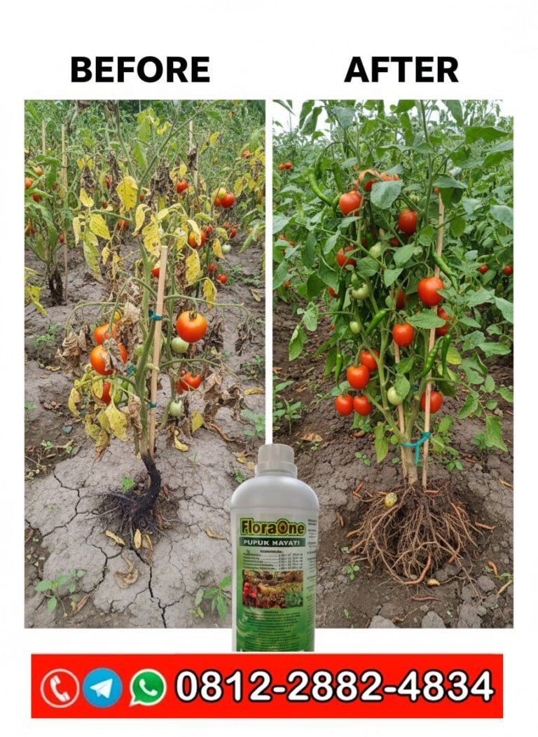 SEDANG DISKON!!! TELP! 0812-2882-4834, PRODUSEN Pupuk hayati cair terbaik Jeneponto, TOKO Pupuk hayati cair untuk padi Pinrang, SUPPLIER Pupuk hayati cair untuk cabe Wajo