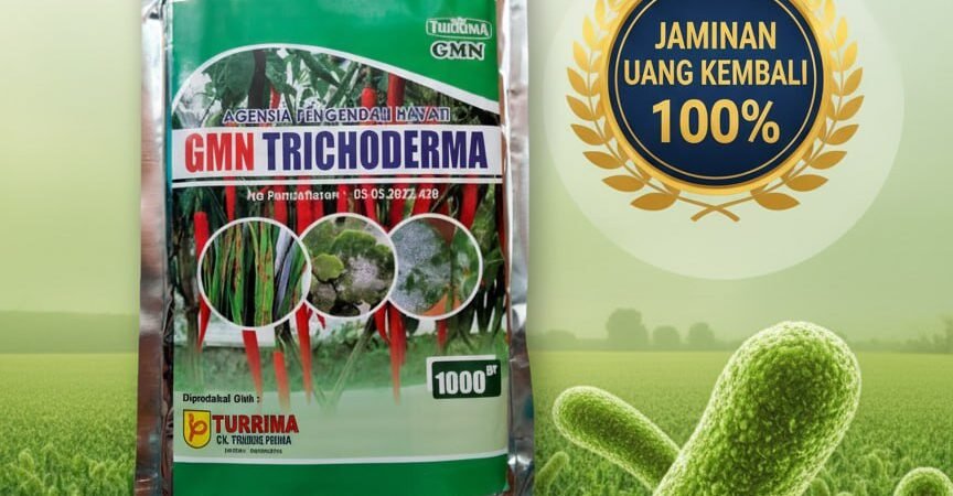 AMPUH!!! TELP! 0813-2747-3262, JUAL Pupuk trikoderma Brebes, AGEN Pupuk trico Pati, DISTRIBUTOR Pupuk GMN Trichoderma Kebumen