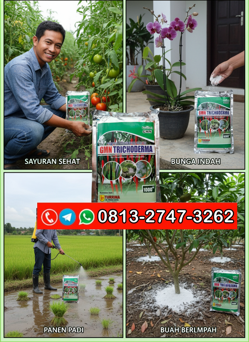ALAMI!!! TELP! 0813-2747-3262, JUAL Trichoderma GMN Jombang, AGEN Trichoderma hayati Lamongan, DISTRIBUTOR Trichoderma 1 kg Pacitan