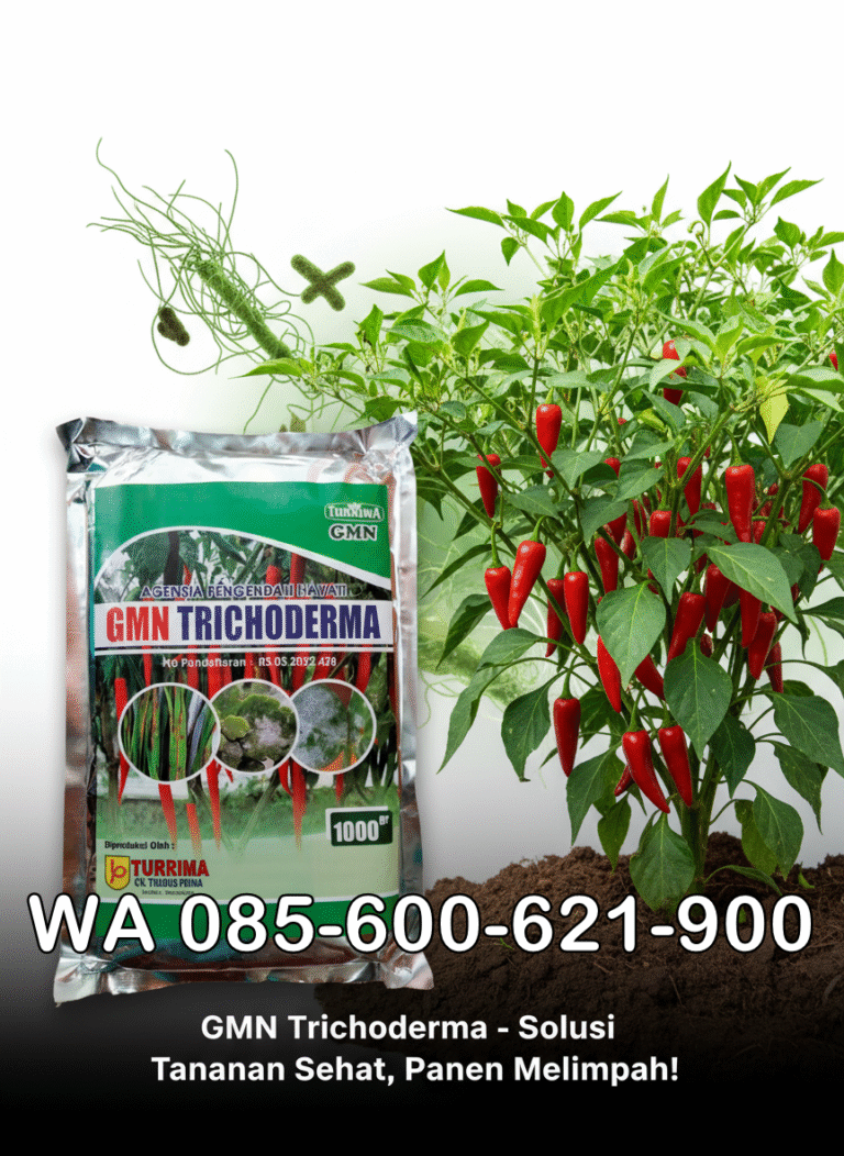 PROMO.085-600-621-900, Jual trichoderma untuk layu fusarium Muaro Jambi, Harga trichoderma untuk cabe Batanghari, Distributor trichoderma untuk bawang merah Tanjung Jabung Barat