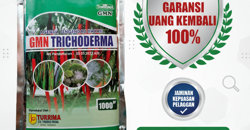 TERPERCAYA!!! TELP! 0813-2747-3262, PABRIK Pupuk organik Trichoderma Kota Surabaya, JUAL Pupuk Trichoderma bubuk Malang, AGEN Pupuk dasar Trichoderma Jember