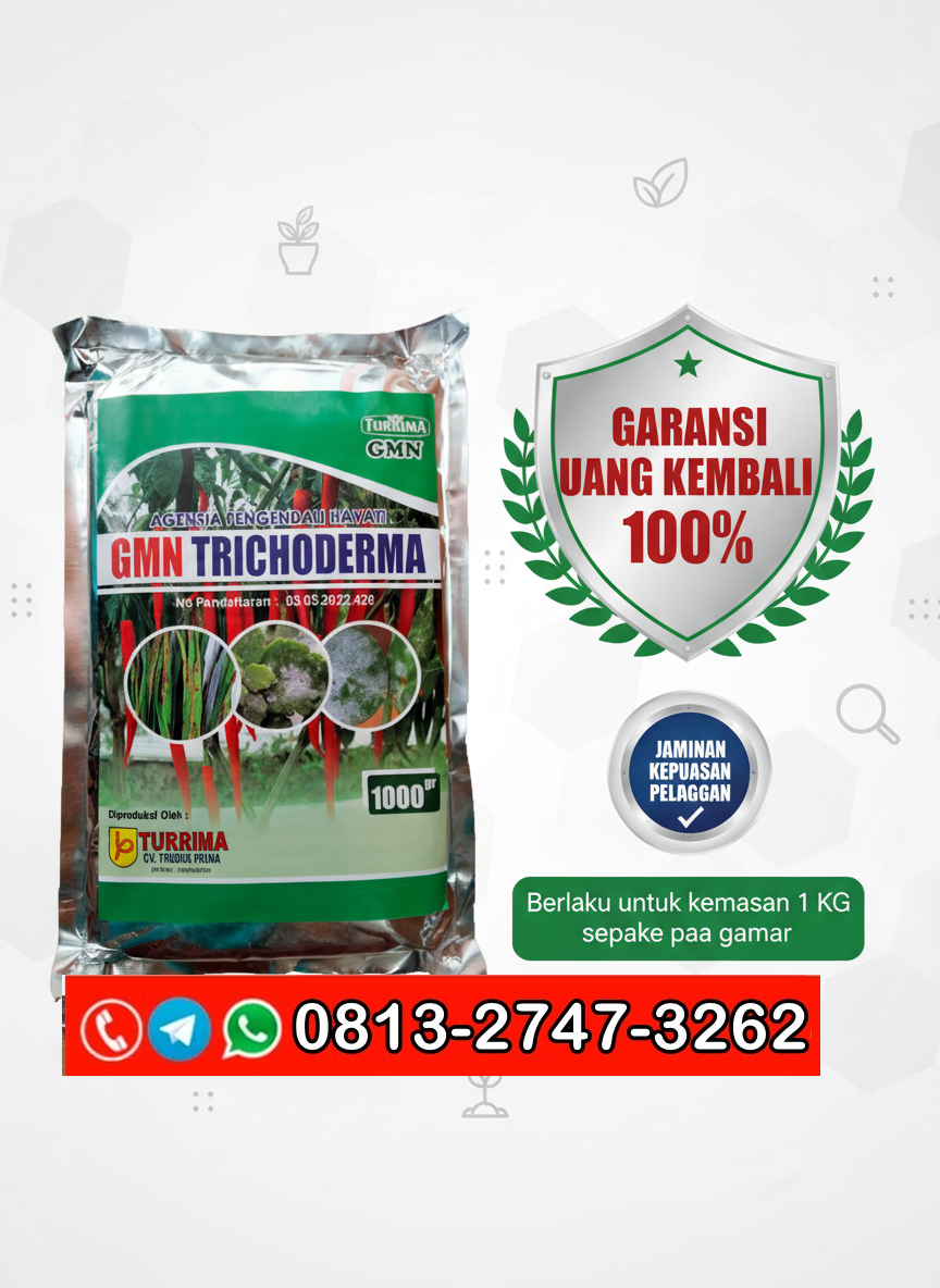 TERPERCAYA!!! TELP! 0813-2747-3262, PABRIK Pupuk organik Trichoderma Kota Surabaya, JUAL Pupuk Trichoderma bubuk Malang, AGEN Pupuk dasar Trichoderma Jember