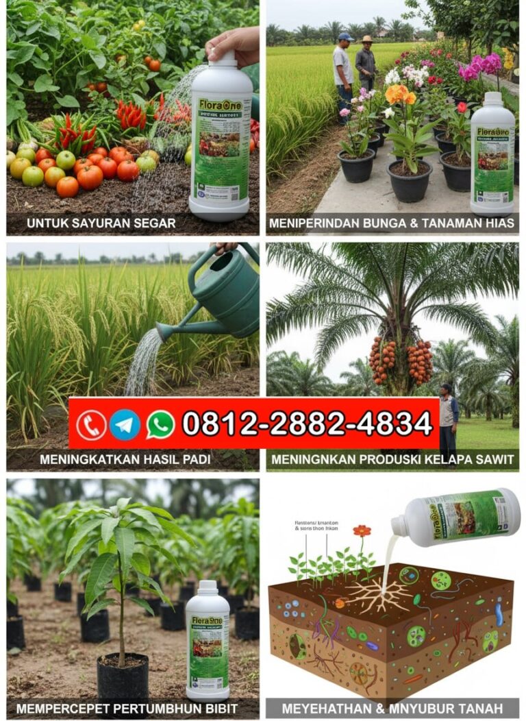 SEDANG DISKON!!! TELP! 0812-2882-4834, PABRIK Pupuk anti jamur Jeneponto, JUAL Pupuk hayati Pinrang, AGEN Pupuk hayati cair Wajo