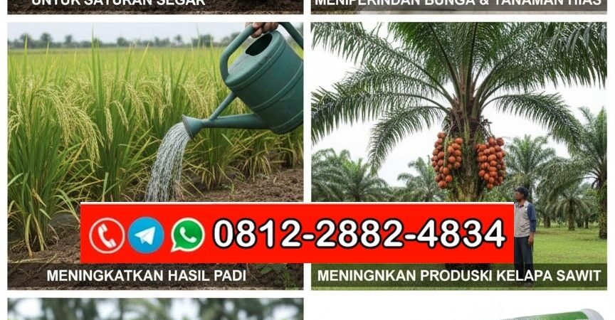 SEDANG DISKON!!! TELP! 0812-2882-4834, PABRIK Pupuk anti jamur Jeneponto, JUAL Pupuk hayati Pinrang, AGEN Pupuk hayati cair Wajo