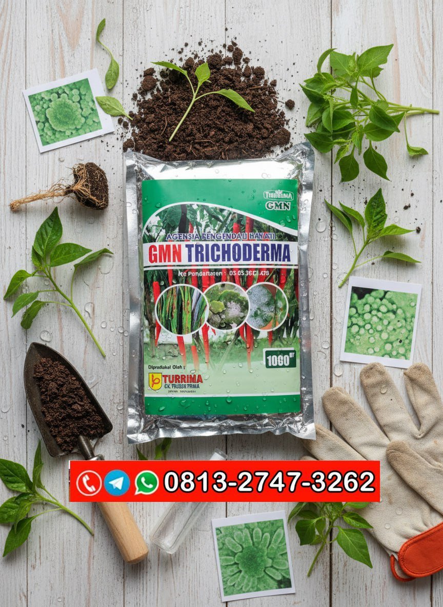 ALAMI!!! TELP! 0813-2747-3262, PABRIK Pupuk Trichoderma 1 kg Wonogiri, JUAL Pupuk trikoderma Brebes, AGEN Pupuk trico Pati