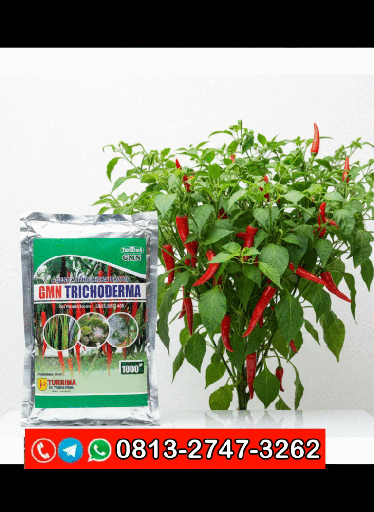 ORGANIK!!! TELP! 0813-2747-3262, PABRIK Trichoderma fusarium Pasuruan, JUAL Trichoderma GMN Jombang, AGEN Trichoderma hayati Lamongan