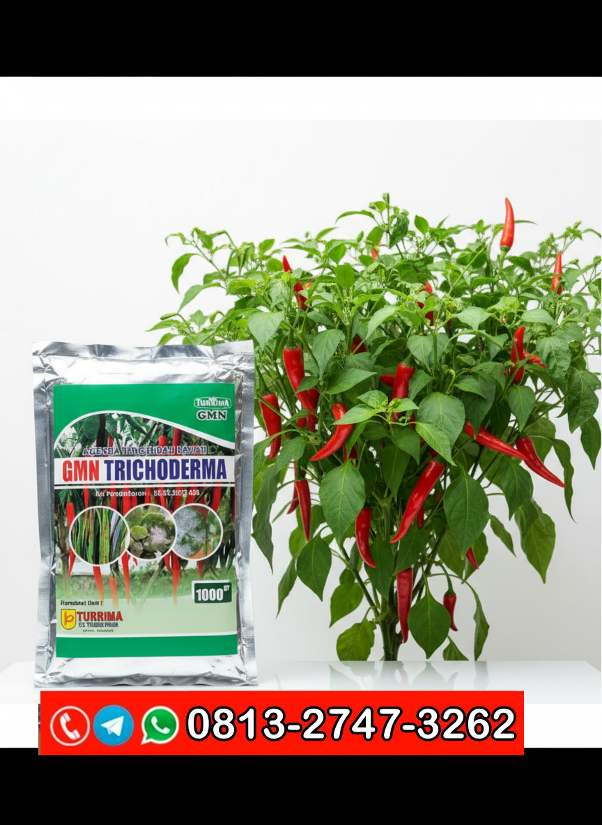 ORGANIK!!! TELP! 0813-2747-3262, PABRIK Trichoderma fusarium Pasuruan, JUAL Trichoderma GMN Jombang, AGEN Trichoderma hayati Lamongan