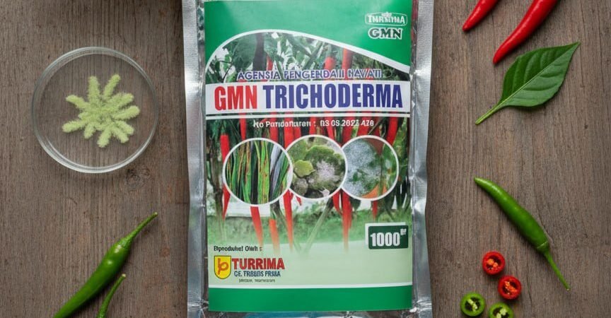 ASLI!!! TELP! 0813-2747-3262, PABRIK Pupuk trikoderma Cilacap, JUAL Trichoderma alami Banyumas, AGEN Trichoderma bubuk Purbalingga