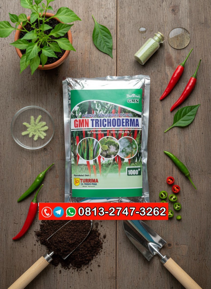 ASLI!!! TELP! 0813-2747-3262, PABRIK Pupuk trikoderma Cilacap, JUAL Trichoderma alami Banyumas, AGEN Trichoderma bubuk Purbalingga