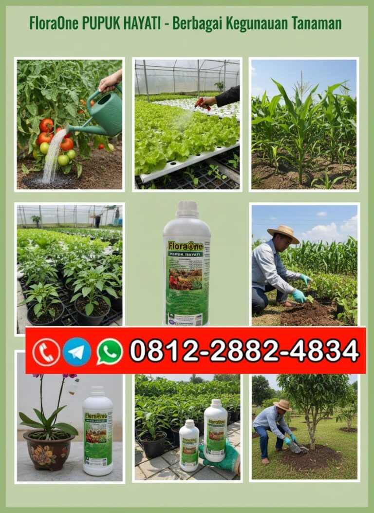 SEDANG PROMO!!! TELP! 0812-2882-4834, PENYEDIA Pupuk anti rontok buah Bulukumba, PABRIK Pupuk anti jamur Jeneponto, JUAL Pupuk hayati Pinrang