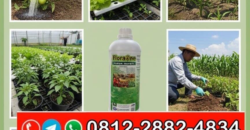 SEDANG PROMO!!! TELP! 0812-2882-4834, PENYEDIA Pupuk anti rontok buah Bulukumba, PABRIK Pupuk anti jamur Jeneponto, JUAL Pupuk hayati Pinrang