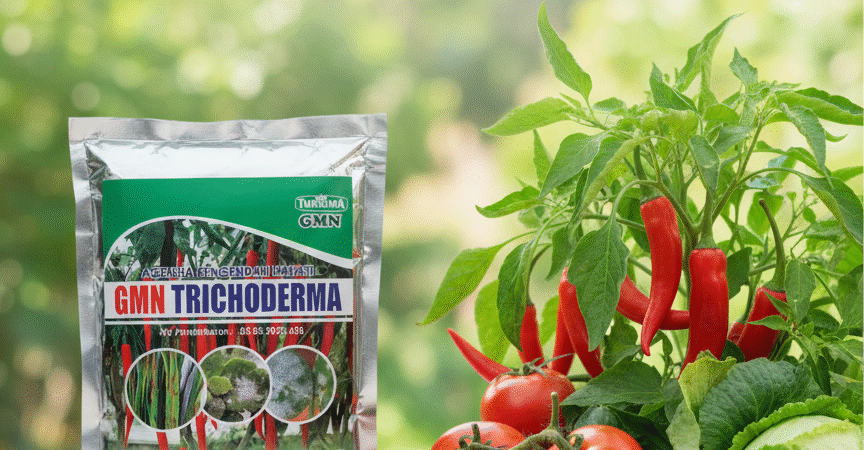 TERPERCAYA!!! TELP! 0813-2747-3262, PENYEDIA Pupuk Trichoderma 1 kg Buleleng, PABRIK Pupuk trikoderma Denpasar, JUAL GMN Trichoderma Karangasem