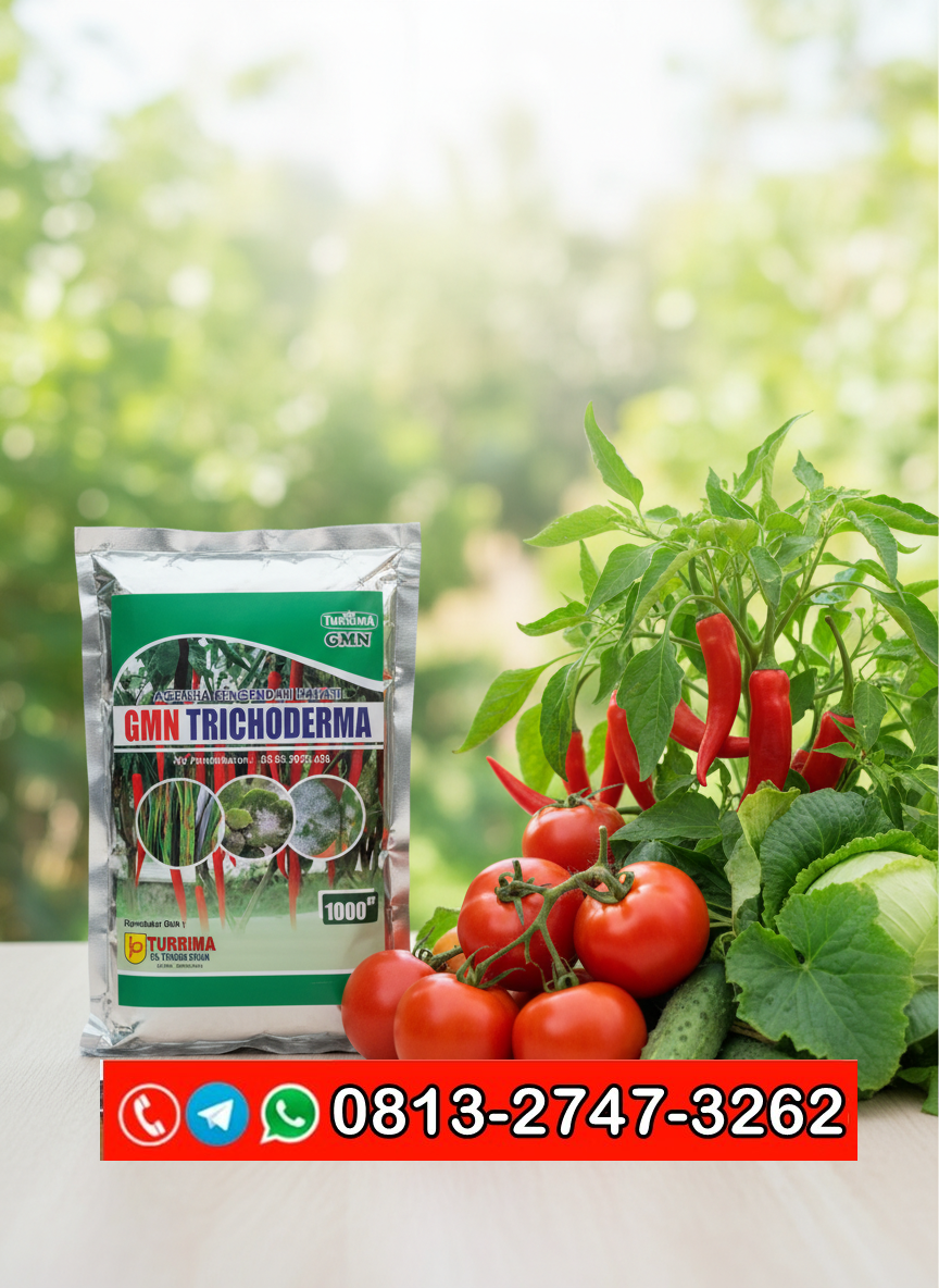 TERPERCAYA!!! TELP! 0813-2747-3262, PENYEDIA Pupuk Trichoderma 1 kg Buleleng, PABRIK Pupuk trikoderma Denpasar, JUAL GMN Trichoderma Karangasem
