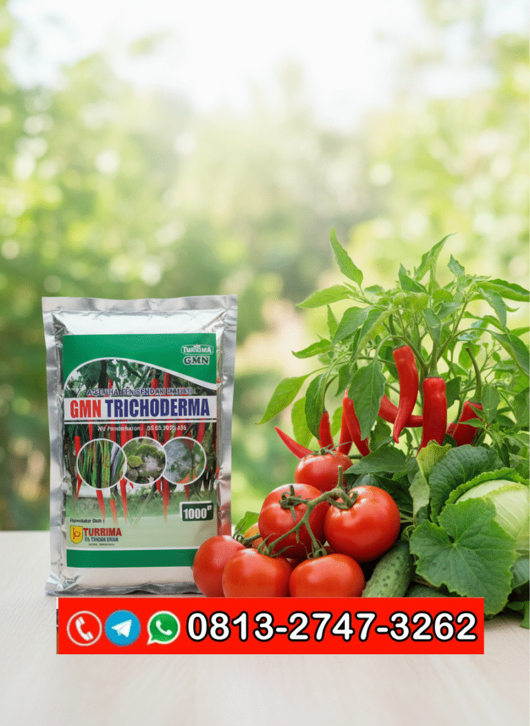 SEDANG DISKON!!! TELP! 0813-2747-3262, PENYEDIA Trichoderma fungisida Kediri, PABRIK Trichoderma fusarium Pasuruan, JUAL Trichoderma GMN Jombang