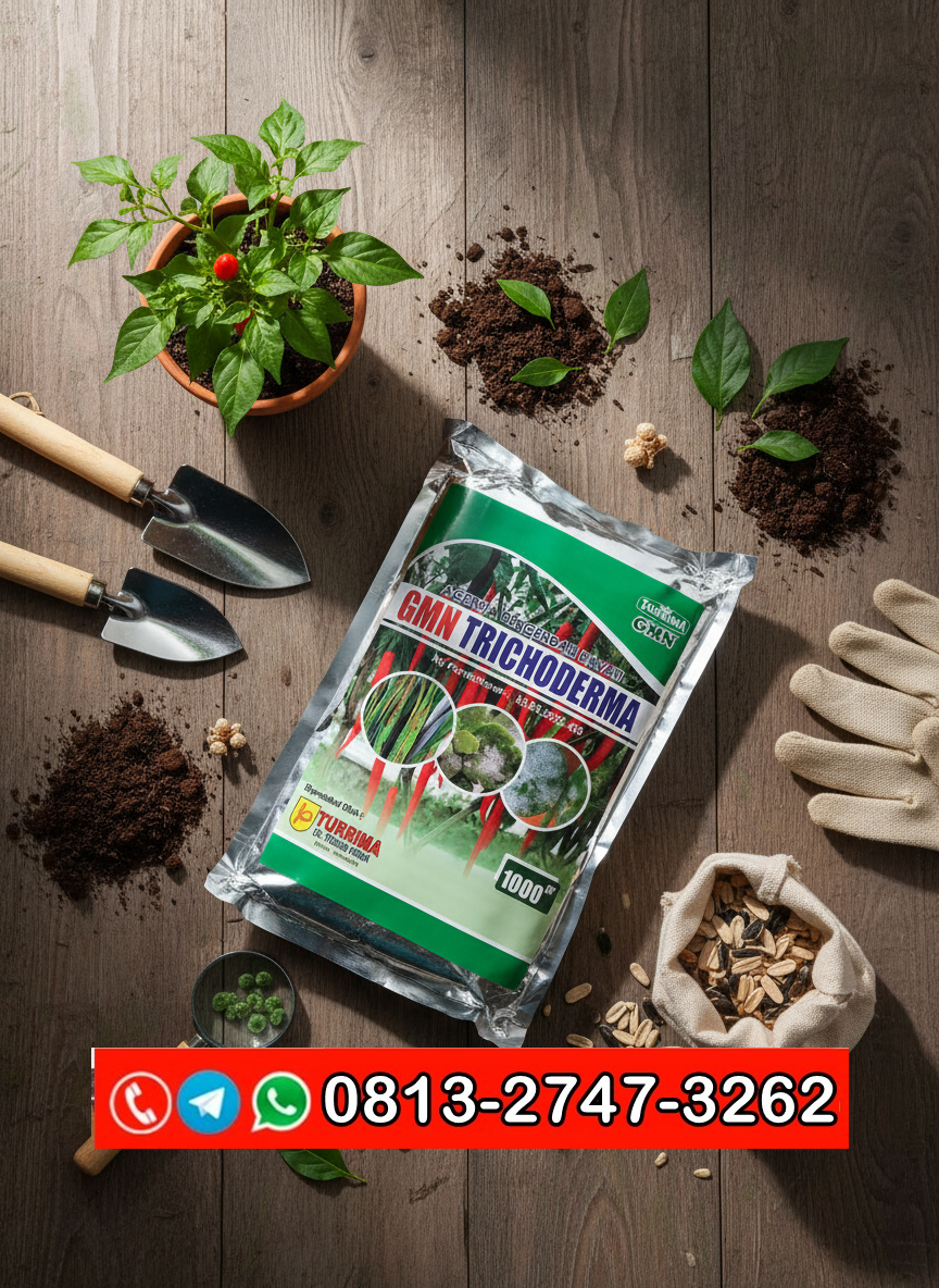 SEDANG PROMO!!! TELP! 0813-2747-3262, PENYEDIA Trichoderma GMN Gianyar, PABRIK Trichoderma hayati Tabanan, JUAL Trichoderma 1 kg Jembrana