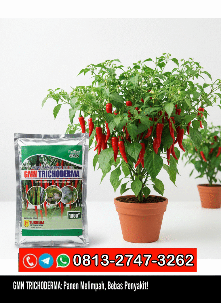 TERPERCAYA!!! TELP! 0813-2747-3262, PRODUSEN Pupuk Trichoderma Kota Surabaya, TOKO Pupuk Trichoderma sp Malang, SUPPLIER Pupuk Trichoderma terbaik Jember