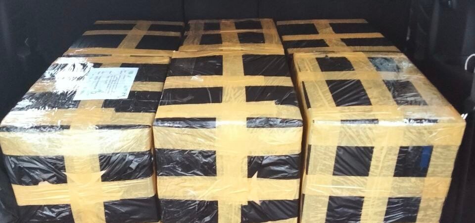 ALAMI!!! TELP! 0813-2747-3262, PRODUSEN Pupuk GMN Trichoderma Bangli, TOKO Pupuk hayati Trichoderma Klungkung, SUPPLIER Pupuk Trichoderma untuk layu fusarium Bali