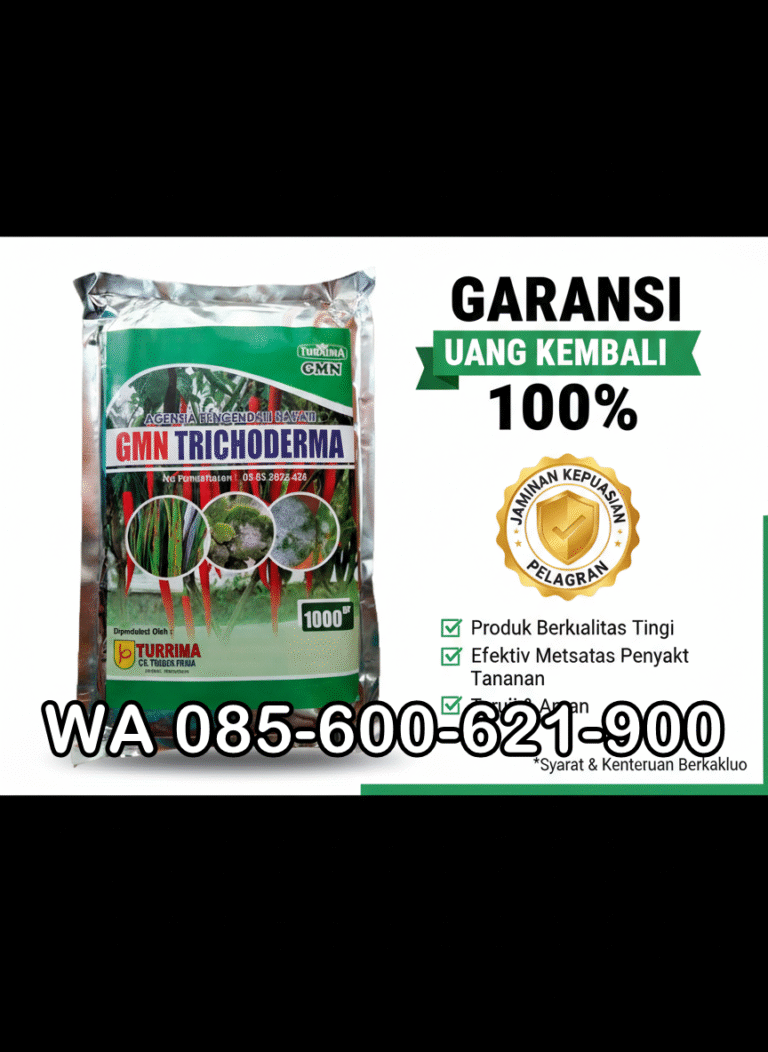 TERBAIK.085-600-621-900, Jual trichoderma untuk pepaya Bungo, Harga trichoderma untuk kompos Tebo, Distributor trichoderma untuk antraknosa Kerinci