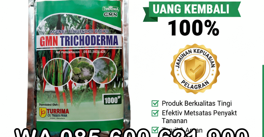TERBAIK.085-600-621-900, Jual trichoderma untuk pepaya Bungo, Harga trichoderma untuk kompos Tebo, Distributor trichoderma untuk antraknosa Kerinci