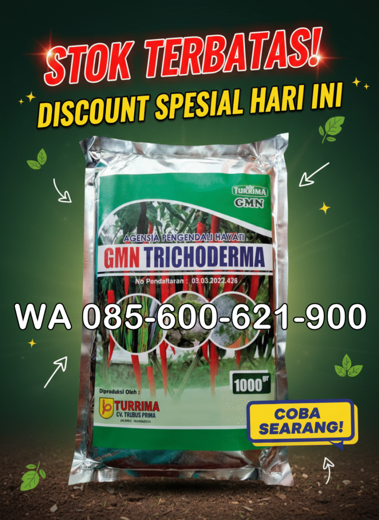 ASLI.085-600-621-900, Pabrik trichoderma untuk sawit Sarolangun, Pusat trichoderma untuk hidroponik Merangin, Jual trichoderma untuk pepaya Bungo