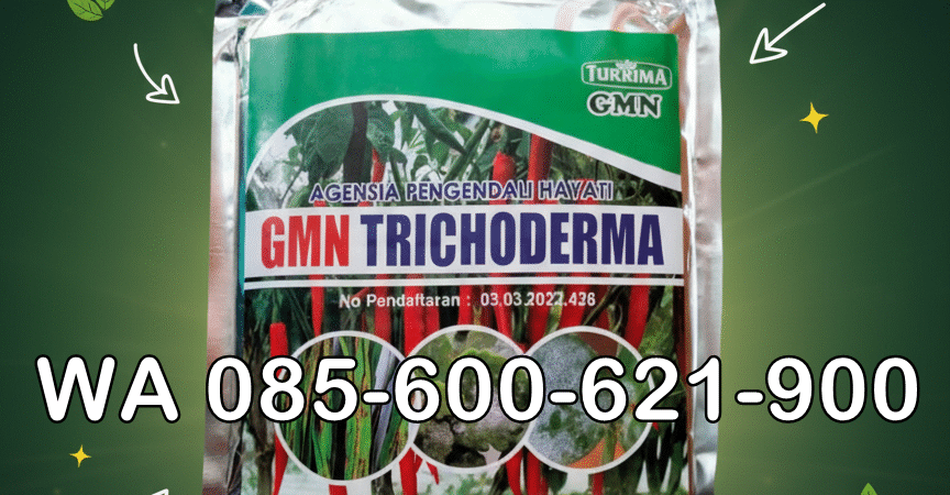 ASLI.085-600-621-900, Pabrik trichoderma untuk sawit Sarolangun, Pusat trichoderma untuk hidroponik Merangin, Jual trichoderma untuk pepaya Bungo