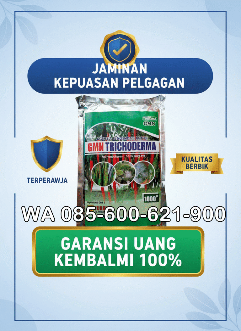 TERBARU.085-600-621-900, Pusat trichoderma untuk hidroponik Merangin, Jual trichoderma untuk pepaya Bungo, Harga trichoderma untuk kompos Tebo