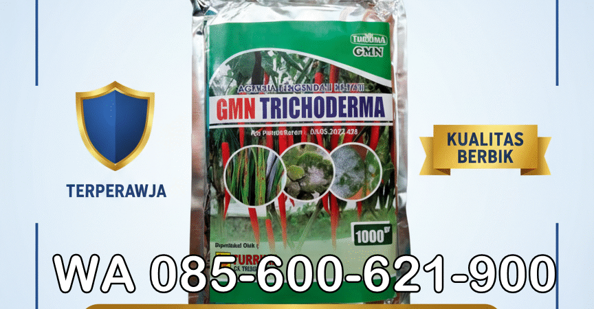 TERBARU.085-600-621-900, Pusat trichoderma untuk hidroponik Merangin, Jual trichoderma untuk pepaya Bungo, Harga trichoderma untuk kompos Tebo