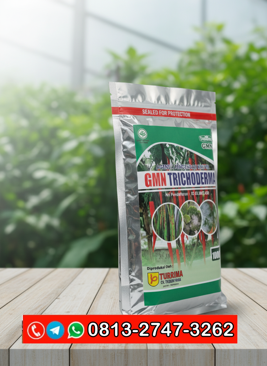 PROMO AMBYAR!!! TELP! 0813-2747-3262, SUPPLIER Pupuk Trichoderma terbaik Jember, PENYEDIA Pupuk Trichoderma untuk cabe Sidoarjo, PABRIK Pupuk Trichoderma untuk sawit Banyuwangi