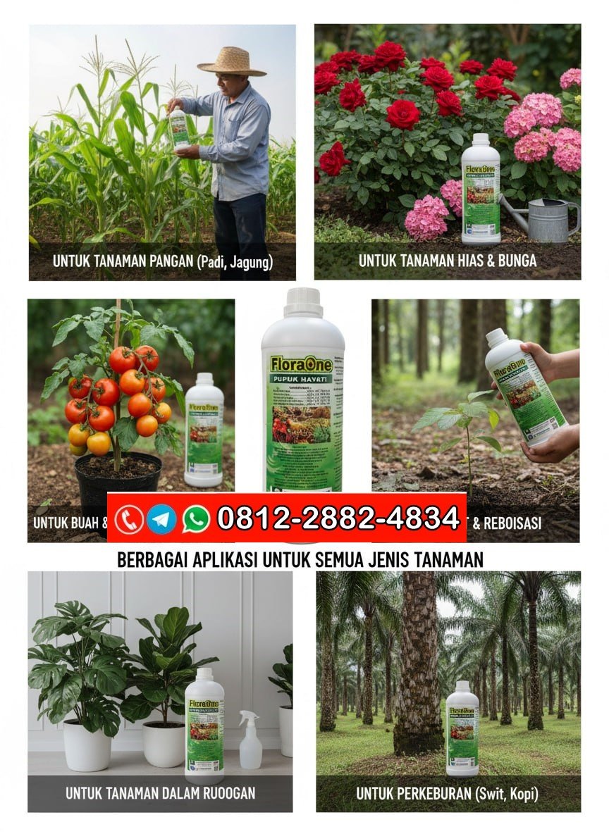 TERBUKTI!!! TELP! 0812-2882-4834, SUPPLIER Pupuk anti penyakit Gowa, PENYEDIA Pupuk anti rontok buah Bulukumba, PABRIK Pupuk anti jamur Jeneponto