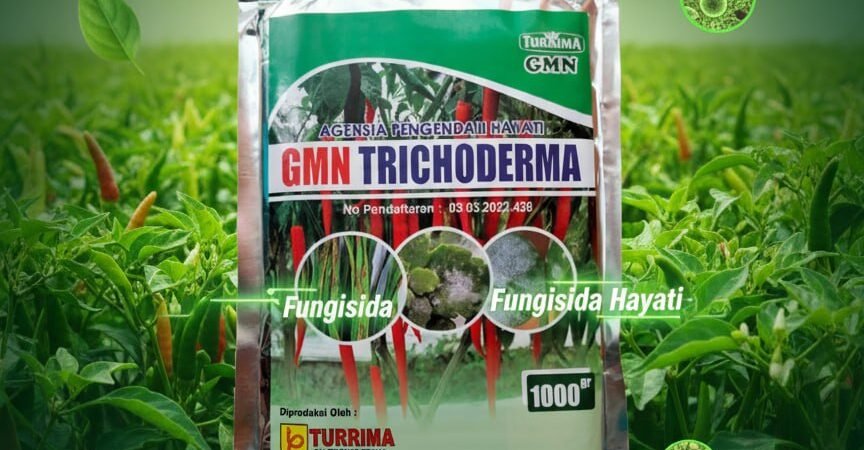 TERBUKTI!!! TELP! 0813-2747-3262, SUPPLIER Pupuk Trichoderma bubuk Purbalingga, PENYEDIA Pupuk dasar Trichoderma Banjarnegara, PABRIK Pupuk Trichoderma fungisida Grobogan