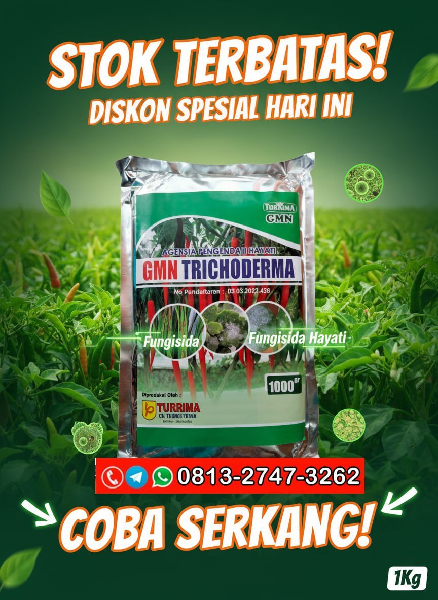 TERBUKTI!!! TELP! 0813-2747-3262, SUPPLIER Pupuk Trichoderma bubuk Purbalingga, PENYEDIA Pupuk dasar Trichoderma Banjarnegara, PABRIK Pupuk Trichoderma fungisida Grobogan