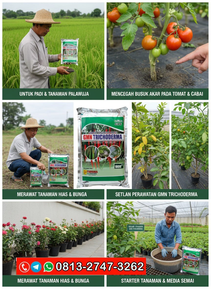 PROMO AMBYAR!!! TELP! 0813-2747-3262, TOKO Pupuk organik Trichoderma Banyumas, SUPPLIER Pupuk Trichoderma bubuk Purbalingga, PENYEDIA Pupuk dasar Trichoderma Banjarnegara