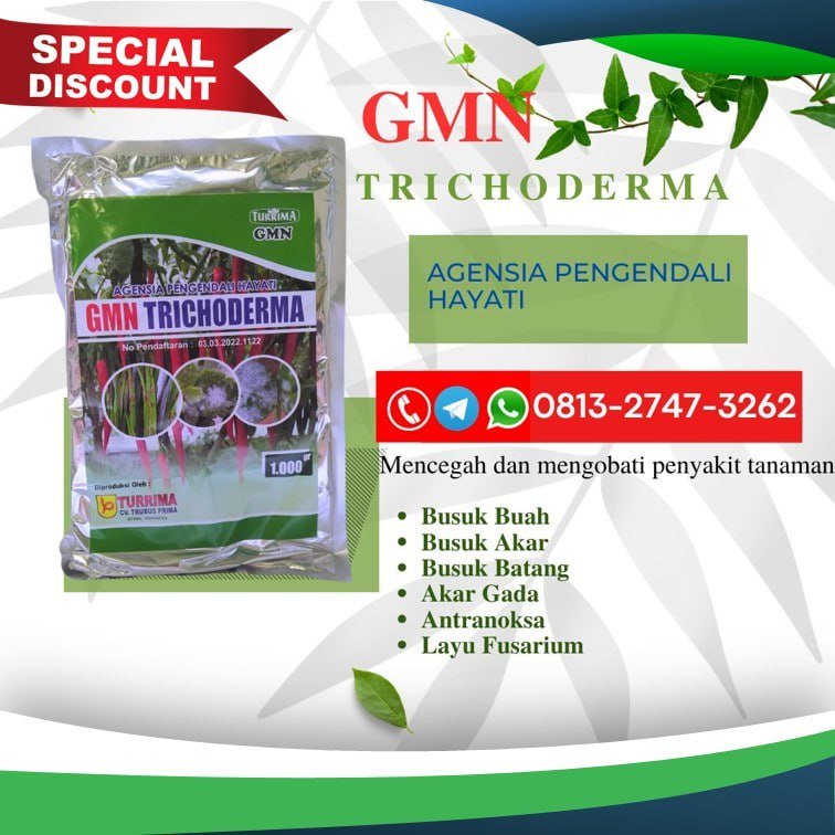 AMPUH!!! TELP! 0813-2747-3262, TOKO Pupuk hayati Trichoderma Klungkung, SUPPLIER Pupuk Trichoderma untuk layu fusarium Bali, PENYEDIA Pupuk Trichoderma 1 kg Buleleng