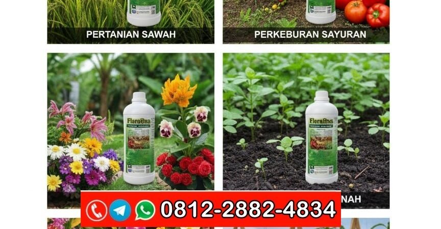 PROMO AMBYAR!!! TELP! 0812-2882-4834, TOKO Pupuk anti layu bakteri Bone, SUPPLIER Pupuk anti penyakit Gowa, PENYEDIA Pupuk anti rontok buah Bulukumba
