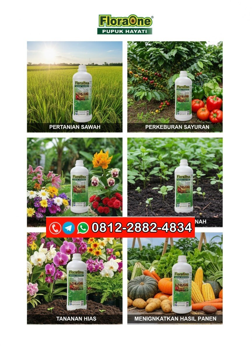 PROMO AMBYAR!!! TELP! 0812-2882-4834, TOKO Pupuk anti layu bakteri Bone, SUPPLIER Pupuk anti penyakit Gowa, PENYEDIA Pupuk anti rontok buah Bulukumba