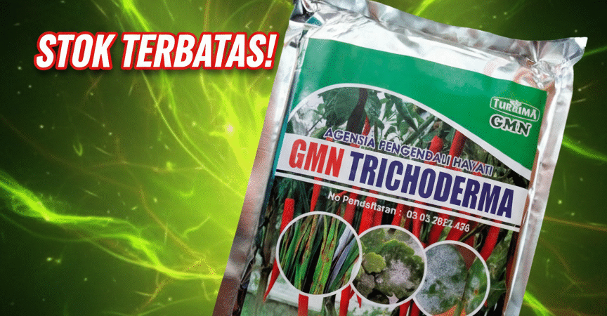 TERBUKTI.085-600-621-900, Distributor trichoderma untuk bawang merah Kotawaringin Timur, Agen trichoderma untuk padi Kotawaringin Barat
