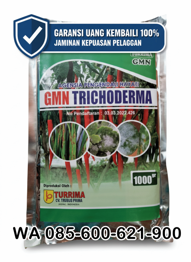 NEW.085-600-621-900, Distributor trichoderma untuk antraknosa Katingan, Agen trichoderma untuk anggur Palangka Raya, Jual trichoderma untuk layu fusarium Kapuas