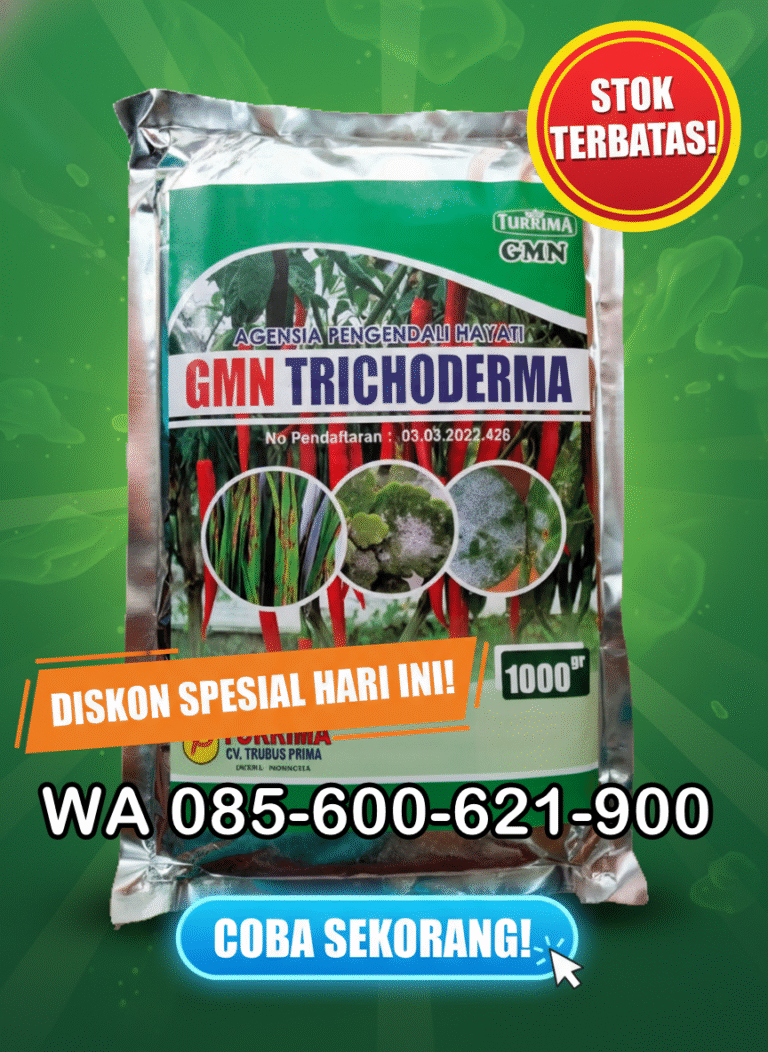 TERBATAS.085-600-621-900, Agen trichoderma untuk anggur Sleman, Jual trichoderma untuk layu fusarium Yogyakarta, Harga trichoderma untuk cabe Sleman,