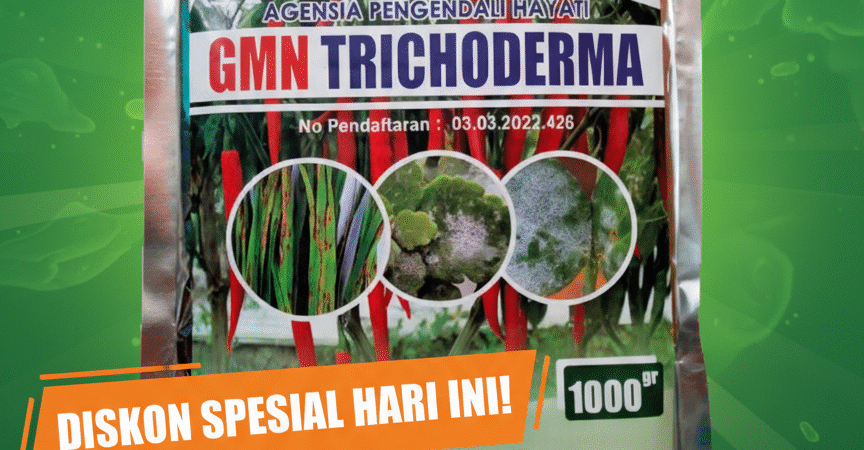 TERBATAS.085-600-621-900, Agen trichoderma untuk anggur Sleman, Jual trichoderma untuk layu fusarium Yogyakarta, Harga trichoderma untuk cabe Sleman,